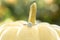 A engagement ring detail shot on a white pumpkin.