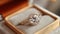 Engagement ring piece of jewelry, romantic relationship, decision to get married, precious gemstone, diamond, love