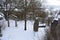 Engeln, Germany - 01 26 2021: Geopark Engeln in winter