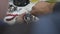 An engineer assembles and repairs a CCTV camera in a workshop. Hands of a man with a screwdriver.