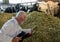 Engineer checking cattle feed quality in barn