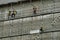 Engineer and Construction workers on the tall buildings, on the scaffolding of a tall building. safety first, safety belt,