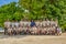 Engineering department staff in uniform posing for group photo