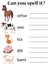 Engish animals spell worksheet