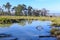 The England countryside with wetlands