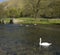 England derbyshire peak district national park