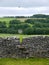 England: drystone wall with stile