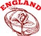 England rugby ball with english rose