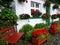 England: white cottage with flowers and bench