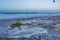 Englewood Beach in Florida covered in debris after Nino caused storm