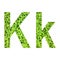 English alphabet â€œK.kâ€ made from green grass on white background for isolated