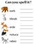 English animal spell worksheet