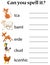 English animal spell worksheet