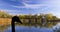 English autumn with silhouette of a swan - Bedfont Lakes Country Park