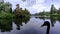 English autumn with silhouette of swan - West Sussex