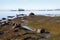 English Bay Shore and Freighters horizontal