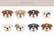 English bulldog clipart. Different poses, coat colors set