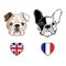 English bulldog face and French Bulldog face with heart flags.