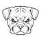 English bulldog icon.