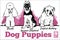 English Bulldog, Poodle and German Shepherd - Dog Puppies. Vector set. Funny dogs puppy pet characters different breads