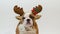 English bulldog puppy dressed as reindeer