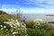 English Channel coast viewpoint Kent UK