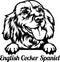 English Cocker Spaniel Dog - Peeking Dog. Dog breed - Cut File - head isolated