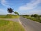 English country road with hedgerow trees in springtime