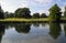 English countryside, cows and a river