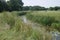 English countryside river natural overgrown in field on a summer lily pads