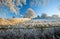 English farmland in winter