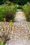 English flower and foliage garden and footpath way