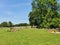 English Garden or Englischer Garten, Munich