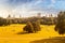 English garden and Munich skyline view