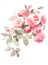 English Garden Roses Watercolor Flowers Illustration Hand Painted