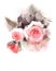 English Garden Roses Watercolor Flowers Illustration Hand Painted