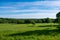 English green field with trees and sheep in the background