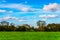 English green meadow on a sunny day, a typical rural landscape o