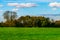 English green meadow on a sunny day, a typical rural landscape o