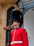 English guard soldier. Portrait, bottom view