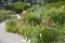 English Herbaceous Garden Border