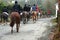 English Hunting scene. Horses and Hounds