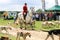 English huntsman and his hounds