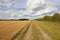 English landscape with a farm track and stubble field