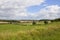 English landscape and wildflowers