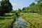 English landscaped garden in the park of Versailles Palace