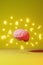 English learning foreign language fluency improvement study Human brain yellow background 3d rendering. Memory Education