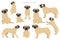 English mastiff clipart. Different poses, coat colors set