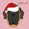 English Mastiff dog with red Santas hat