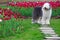 English old sheepdog